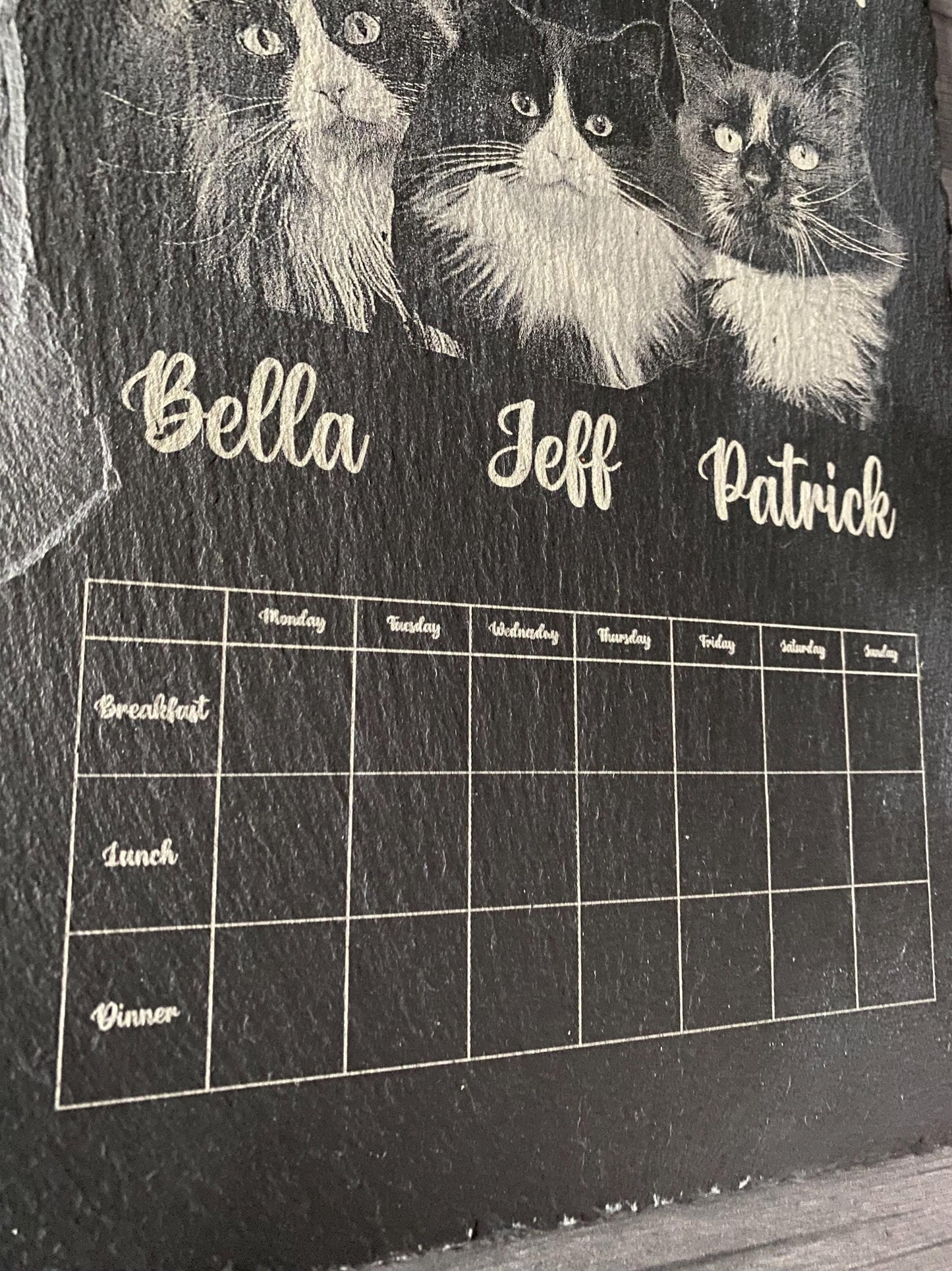 Feeding Schedule Engraved Slate - Portrait