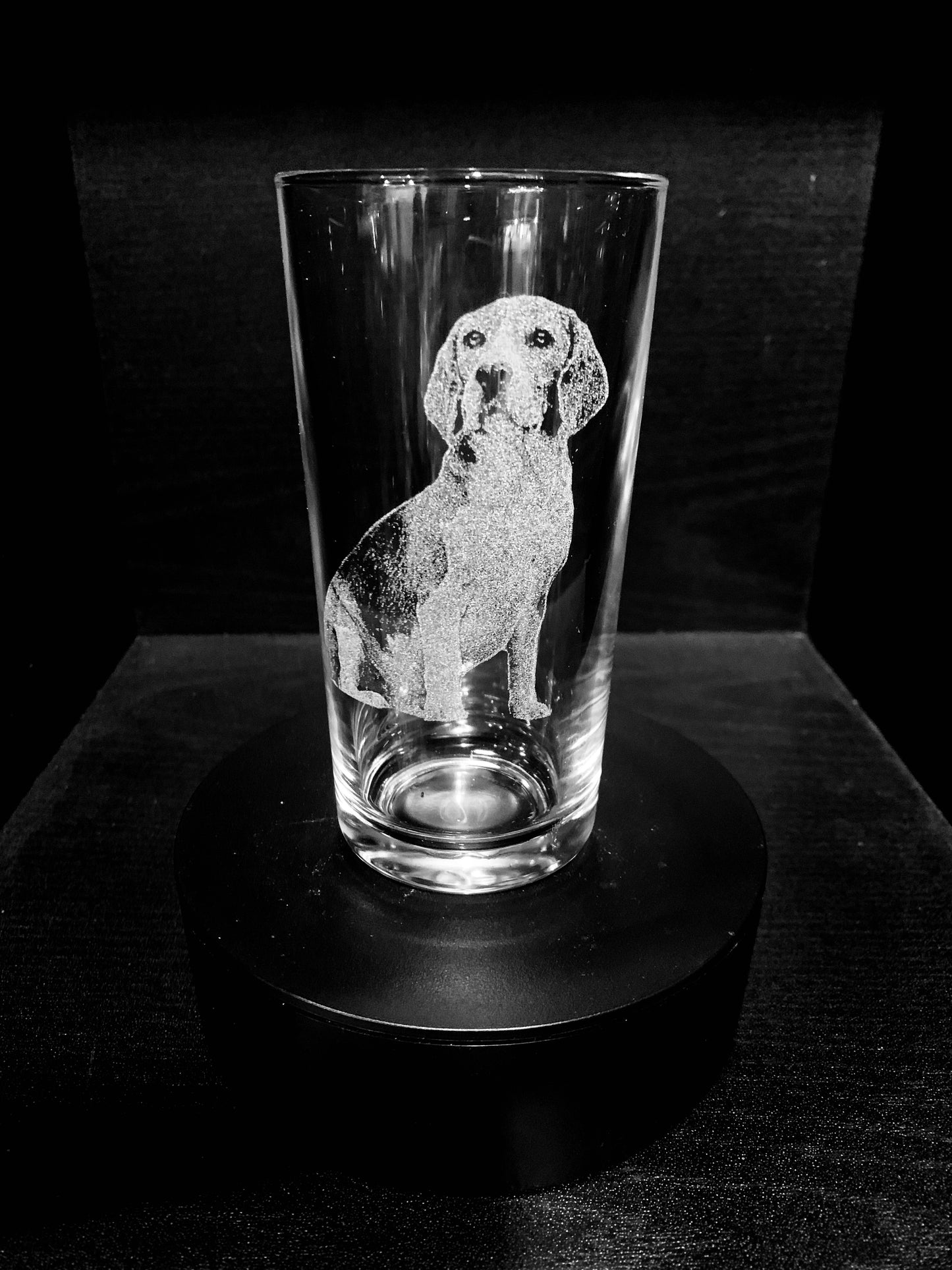 Beagle
