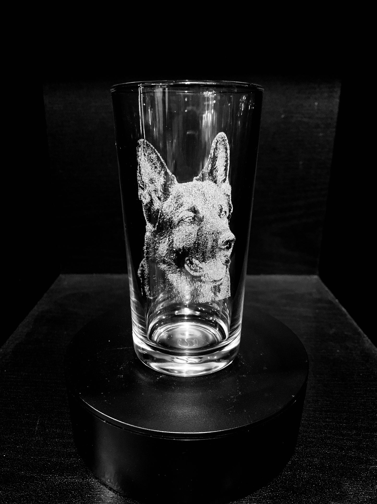 German Shepherd / Alsatian