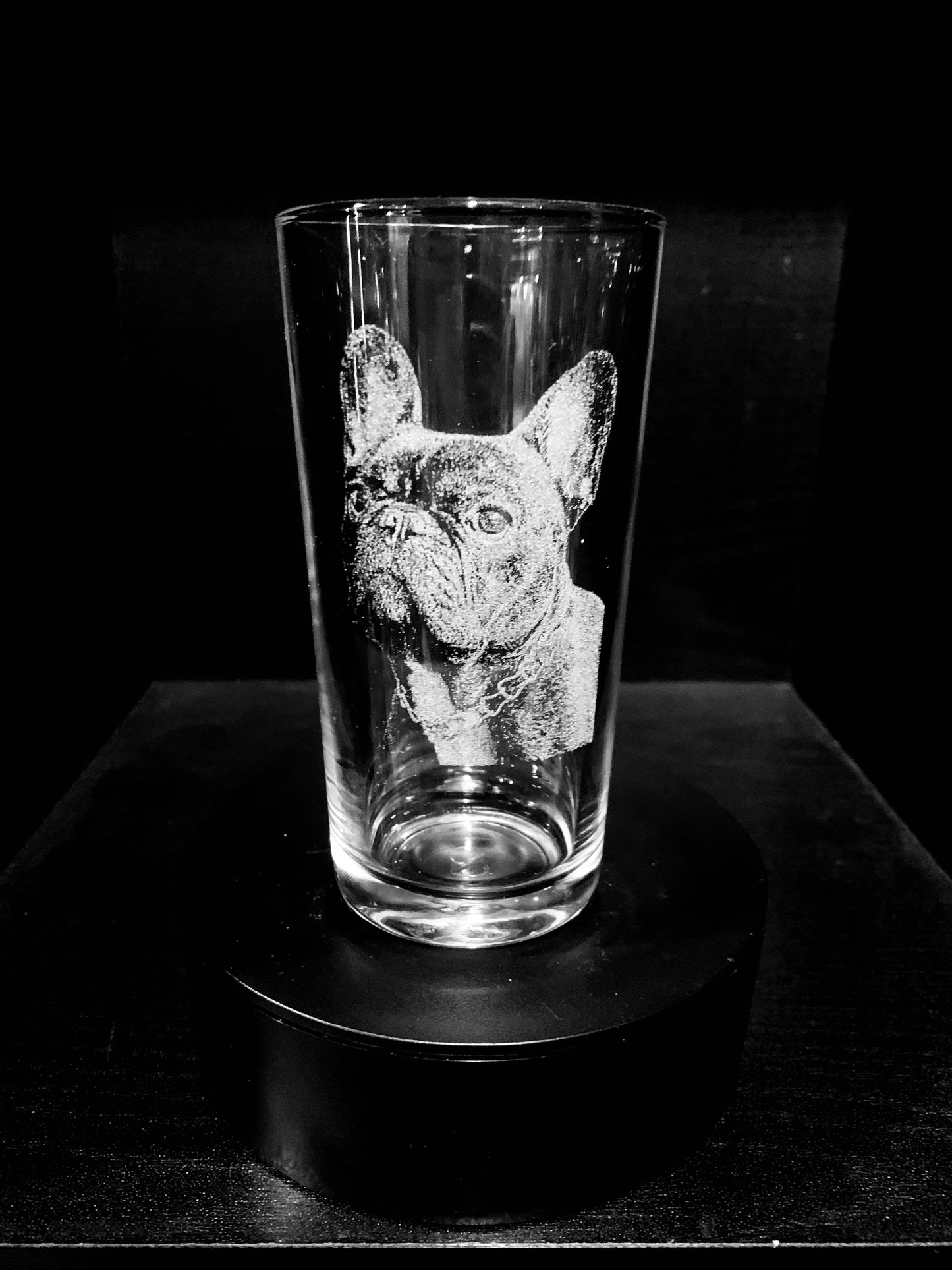 French Bulldog / Frenchie