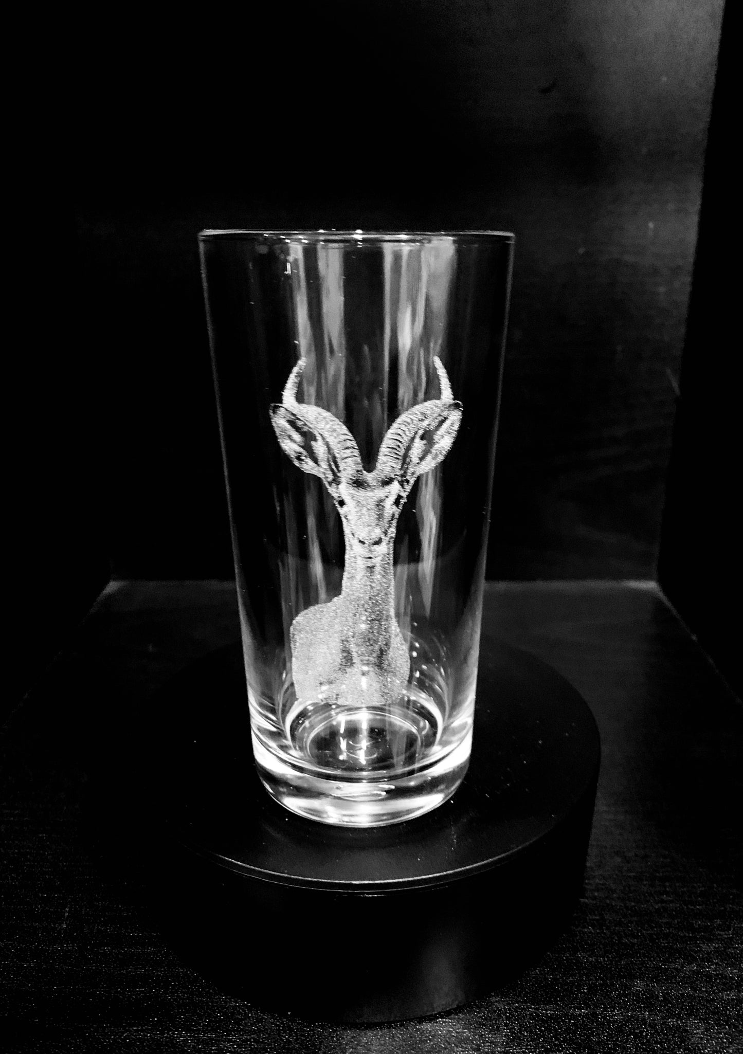 Antelope