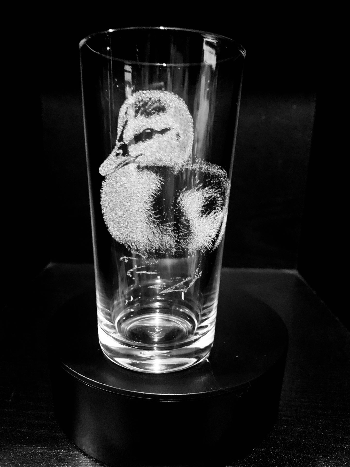 Duckling