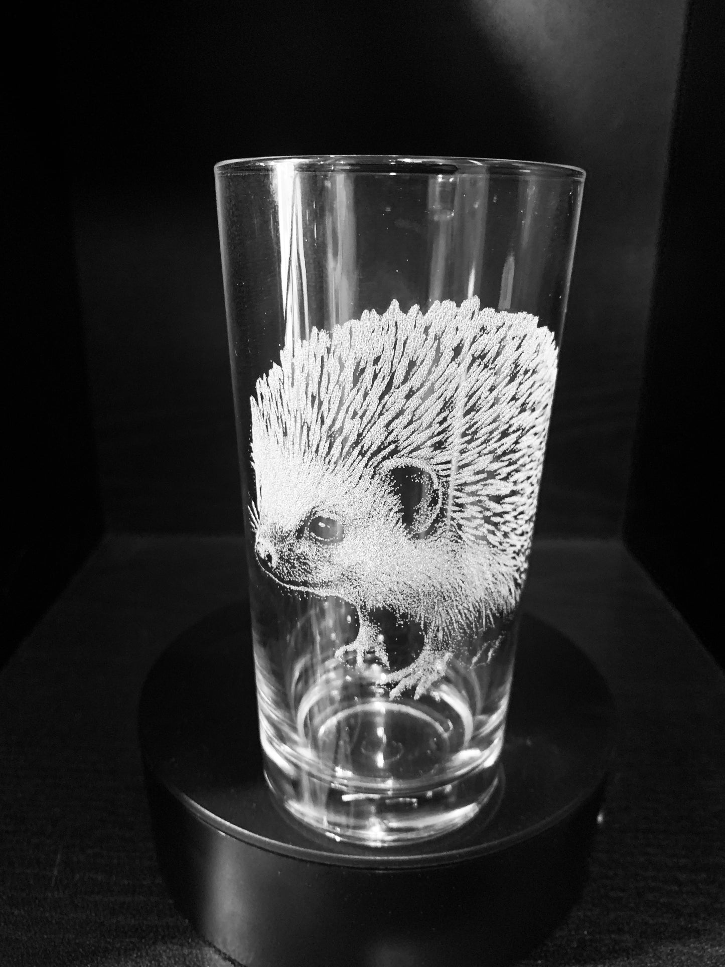 Hedgehog