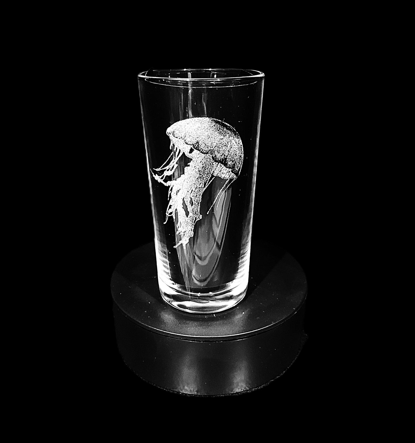Jellyfish