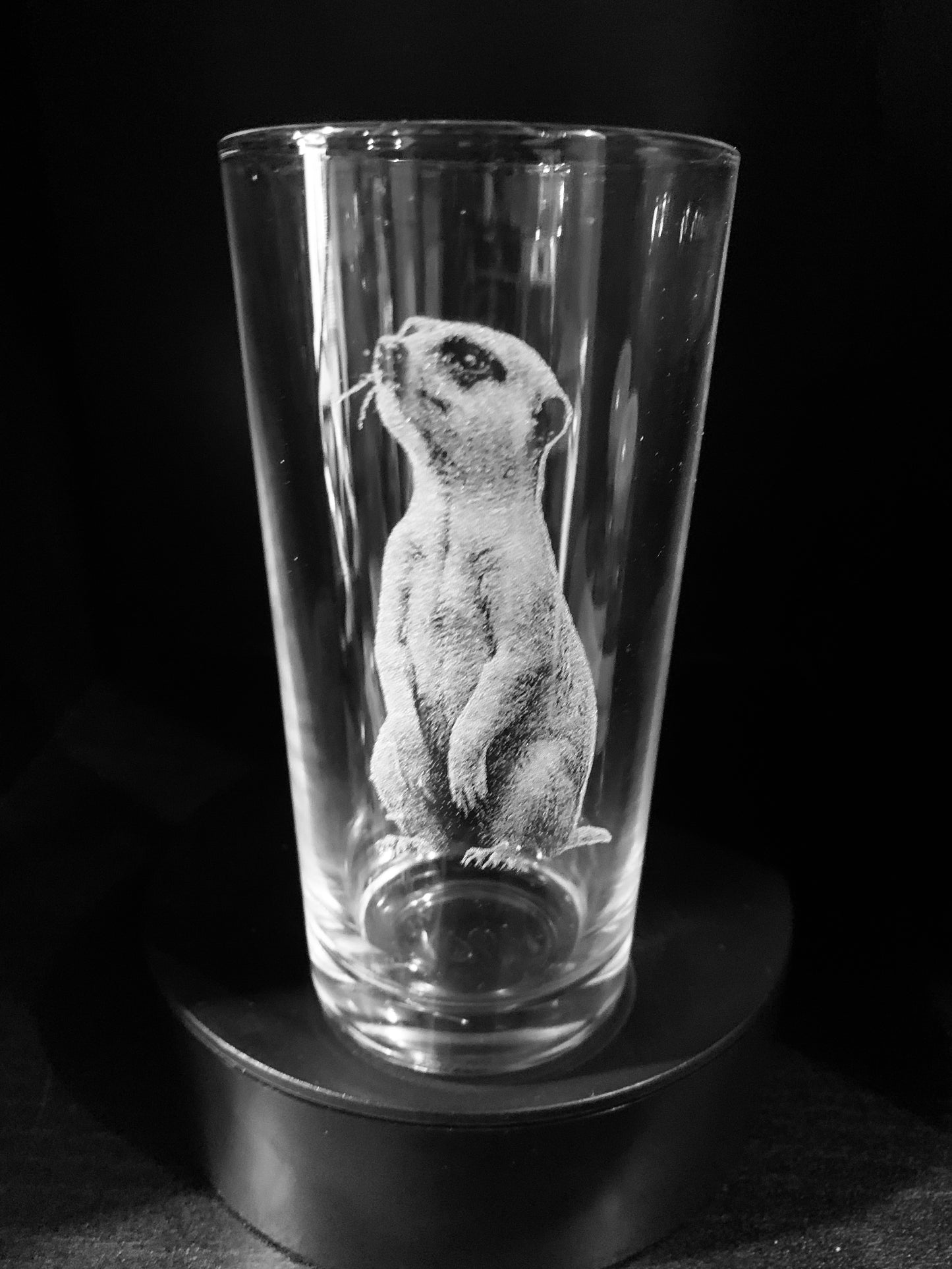 Meerkat