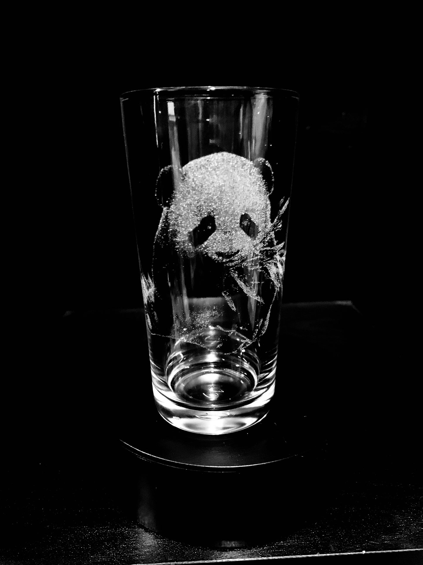 Panda cub