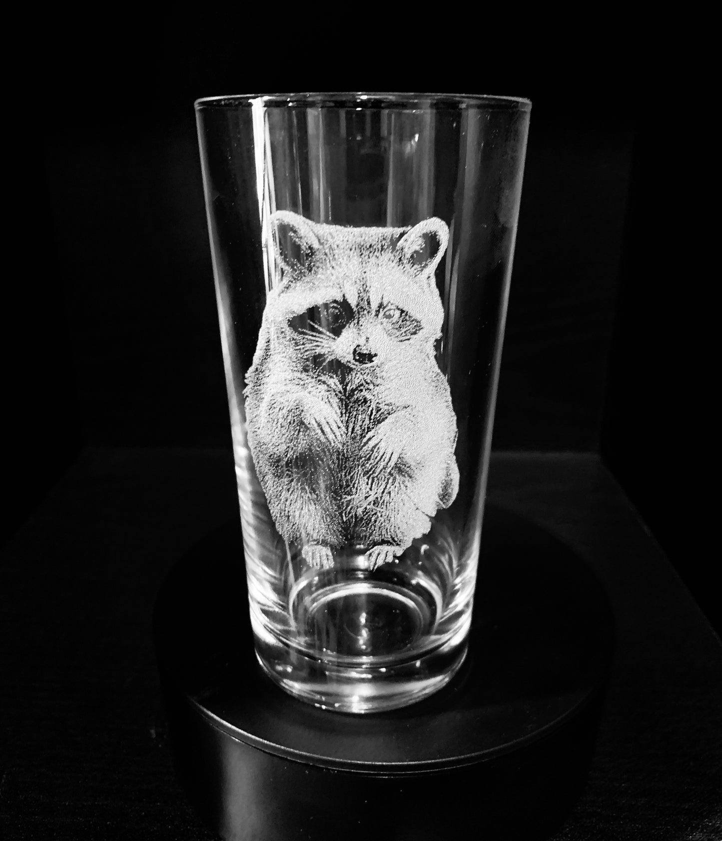 Racoon