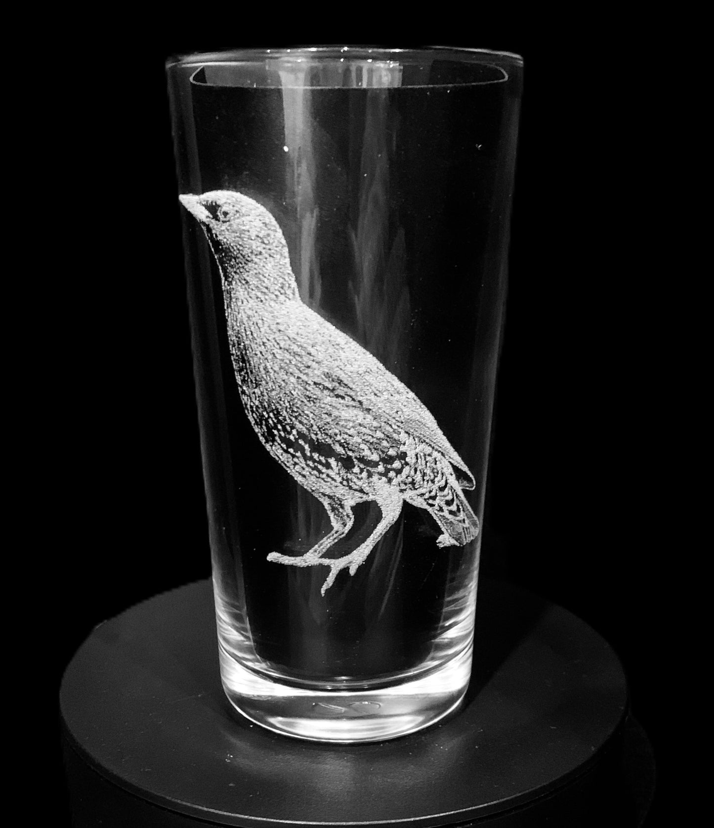 Starling