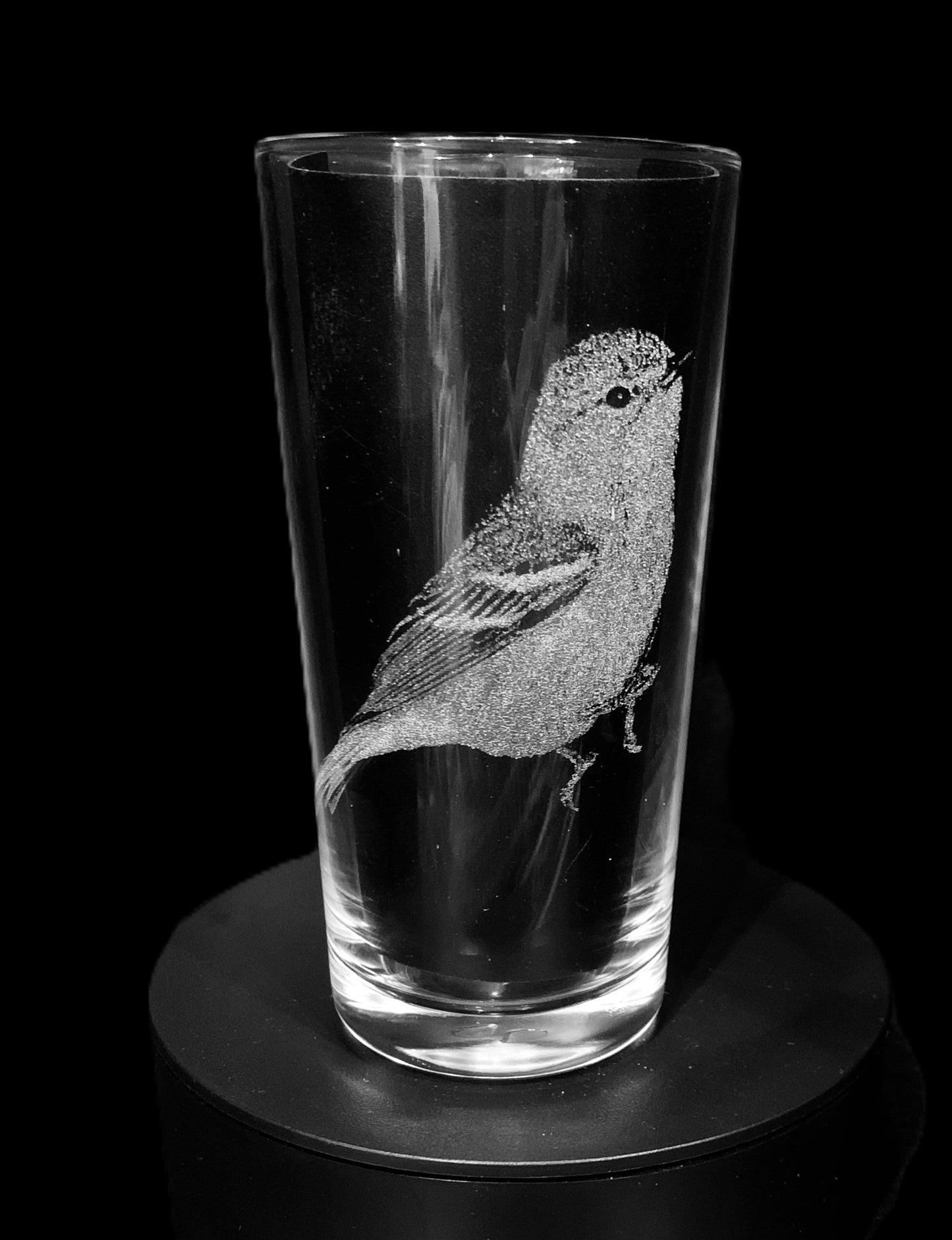 Warbler