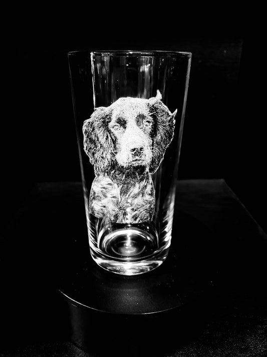 Cocker Spaniel