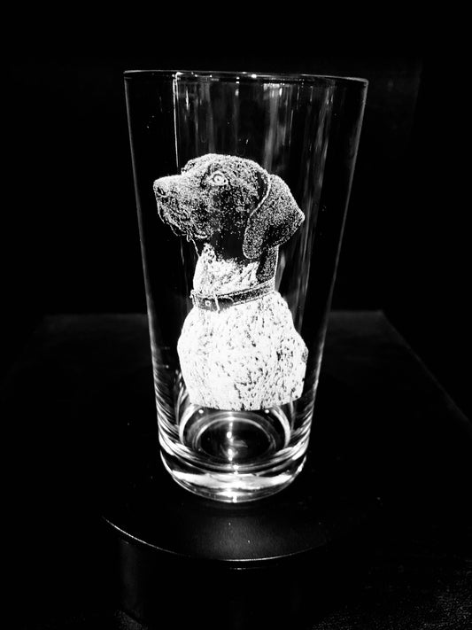 German Shorthaired Pointer