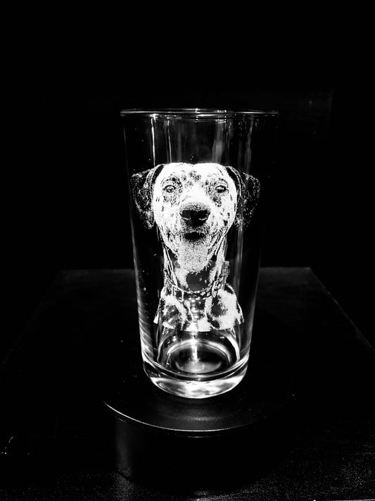 Dalmation
