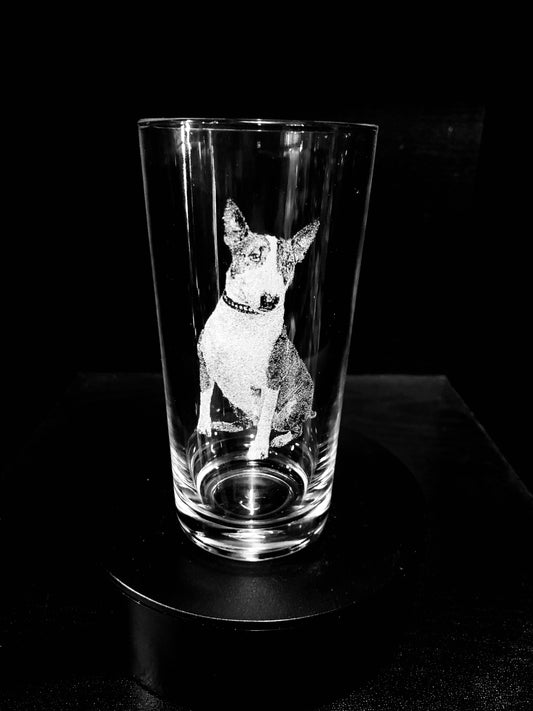 English Bull Terrier