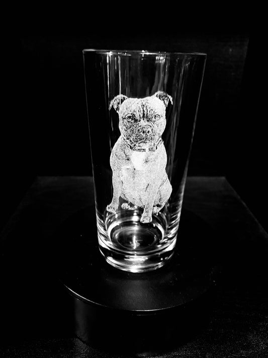 Staffordshire Bull Terrier