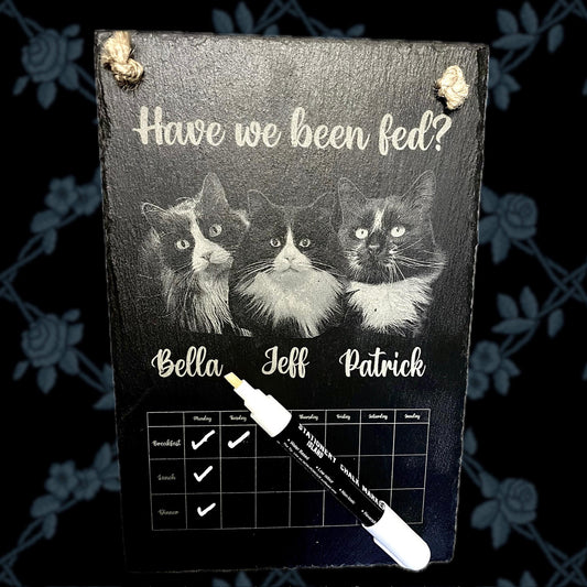 Feeding Schedule Engraved Slate - Portrait
