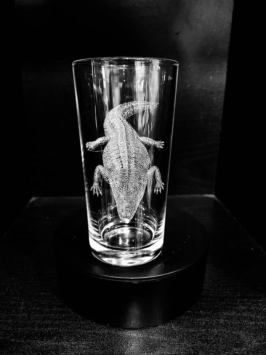 Alligator
