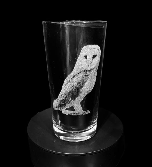Barn owl