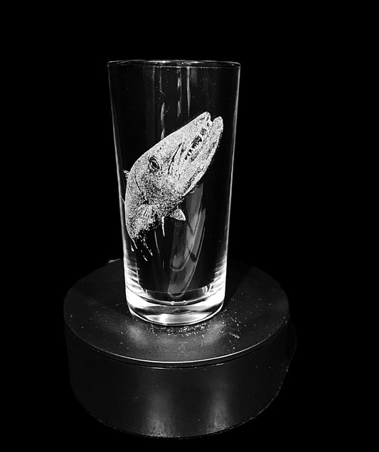 Barracuda