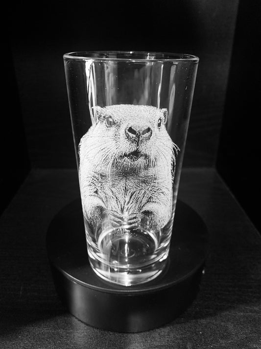 Beaver