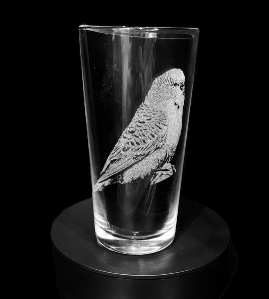 Budgie