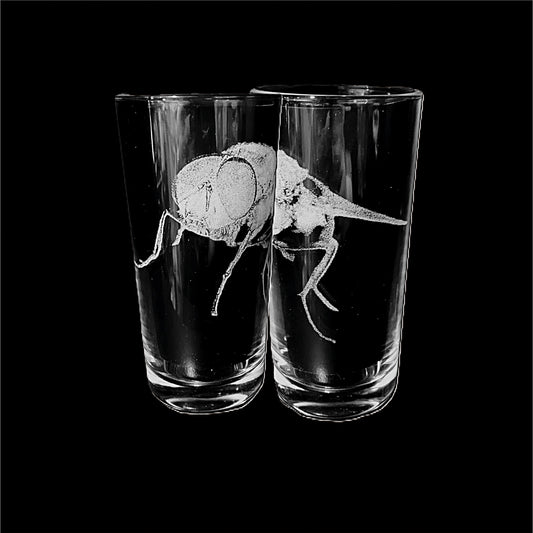 Blue Bottle fly