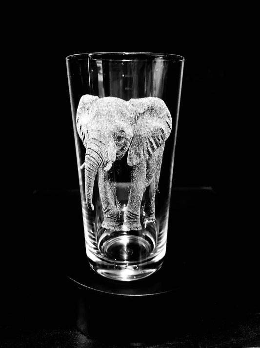Elephant calf
