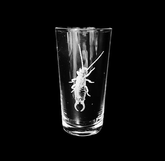 Earwig