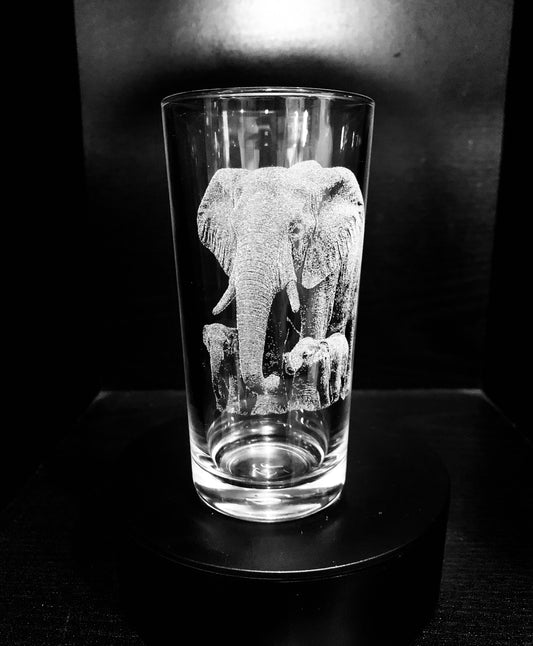 Elephant & Calfs family