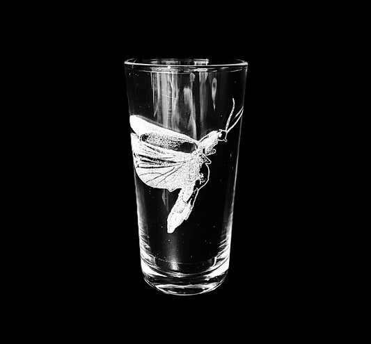 Firefly
