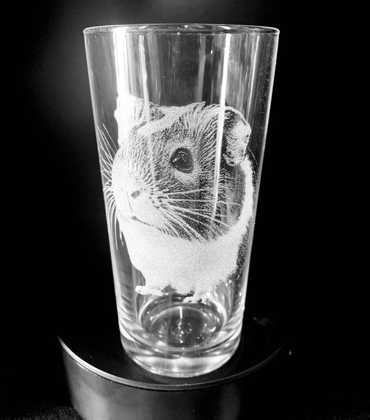 Guinea Pig