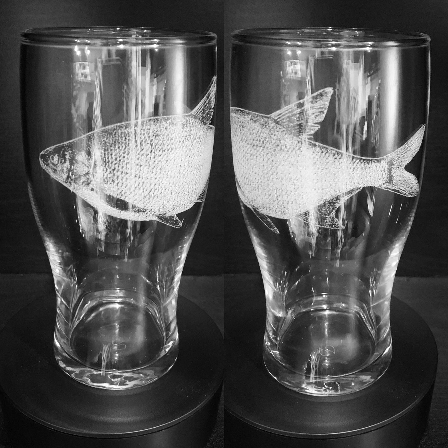 Mirror Carp Fish