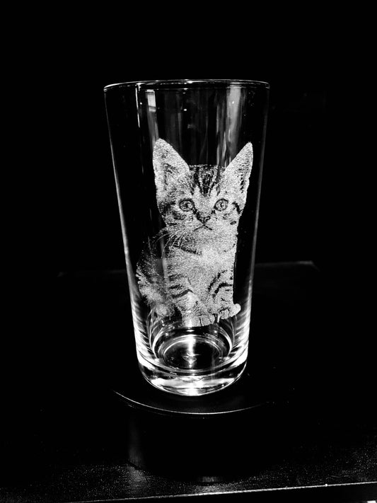 Kitten