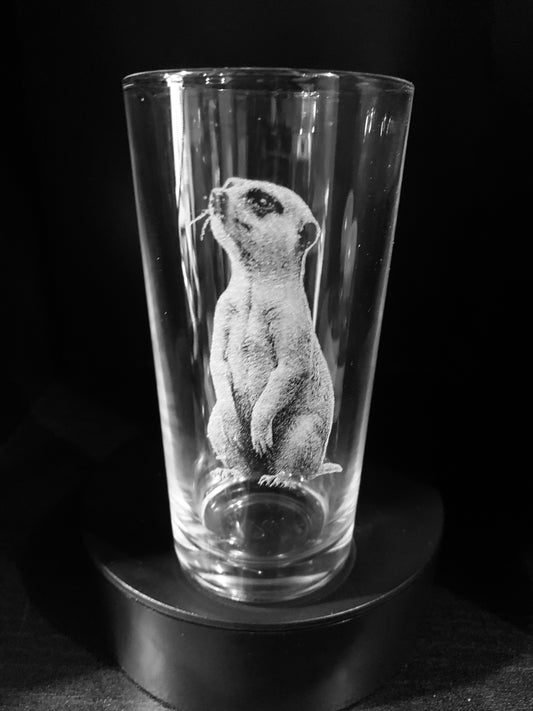 Meerkat