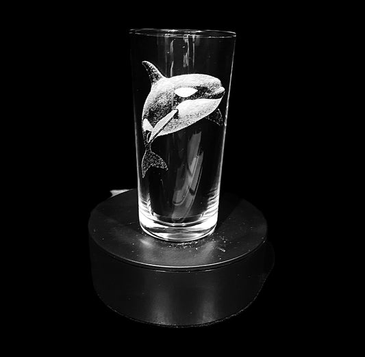 Orca / Killer Whale