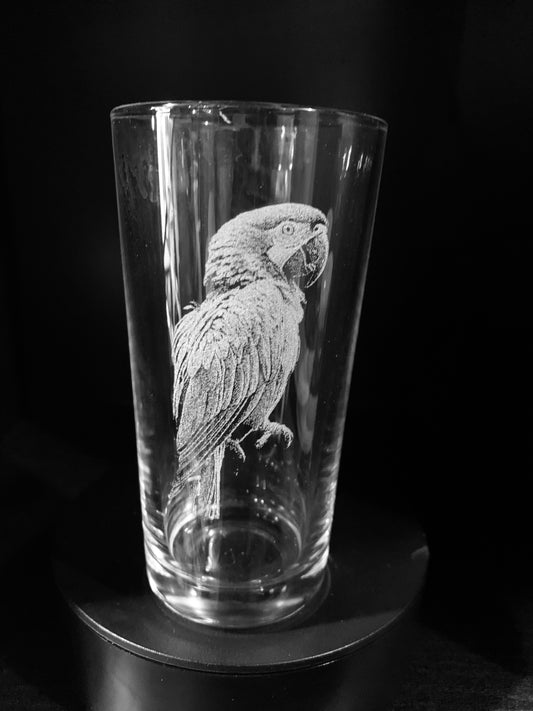 Parrot