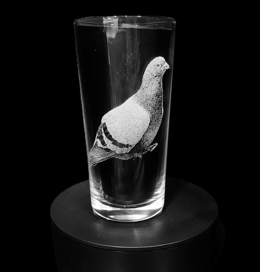 Pigeon