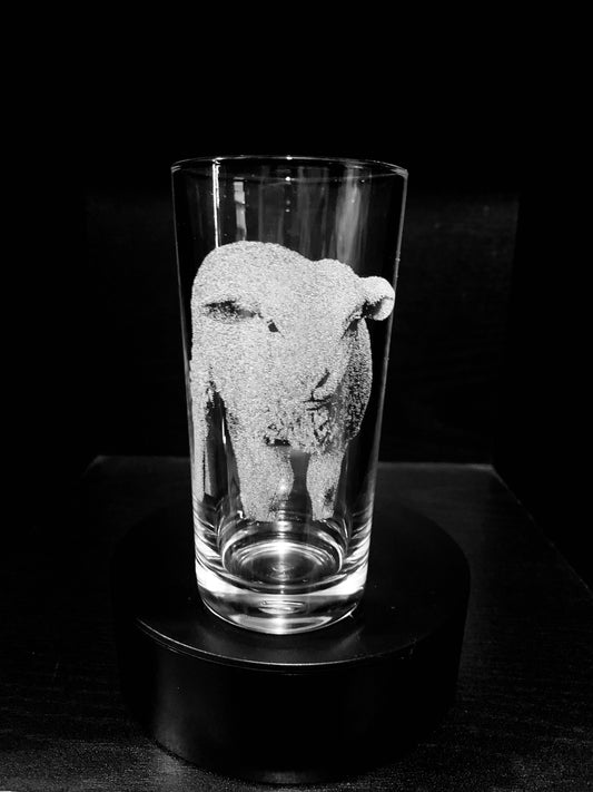 Lamb