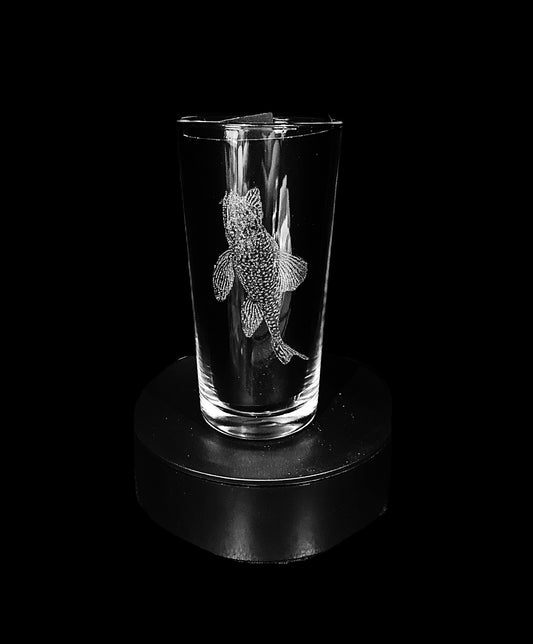 Pleco