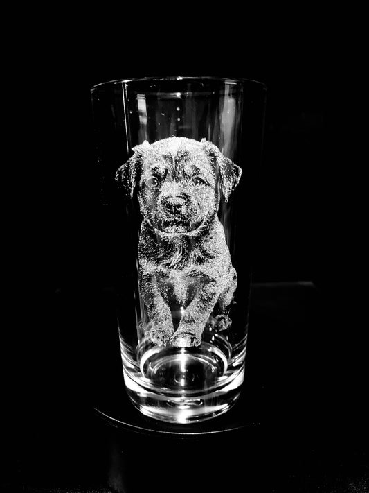 Puppy