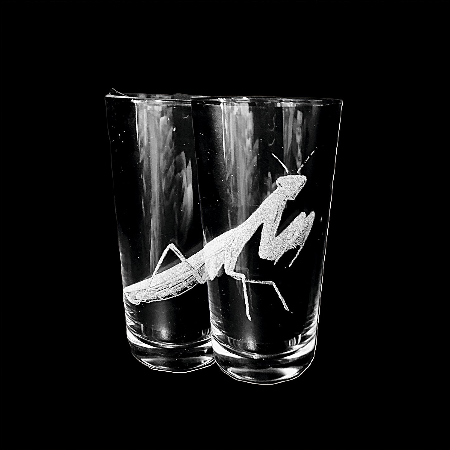 Preying Mantis