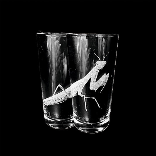 Preying Mantis
