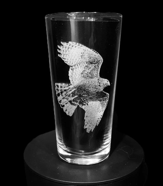 Red shouldered hawk