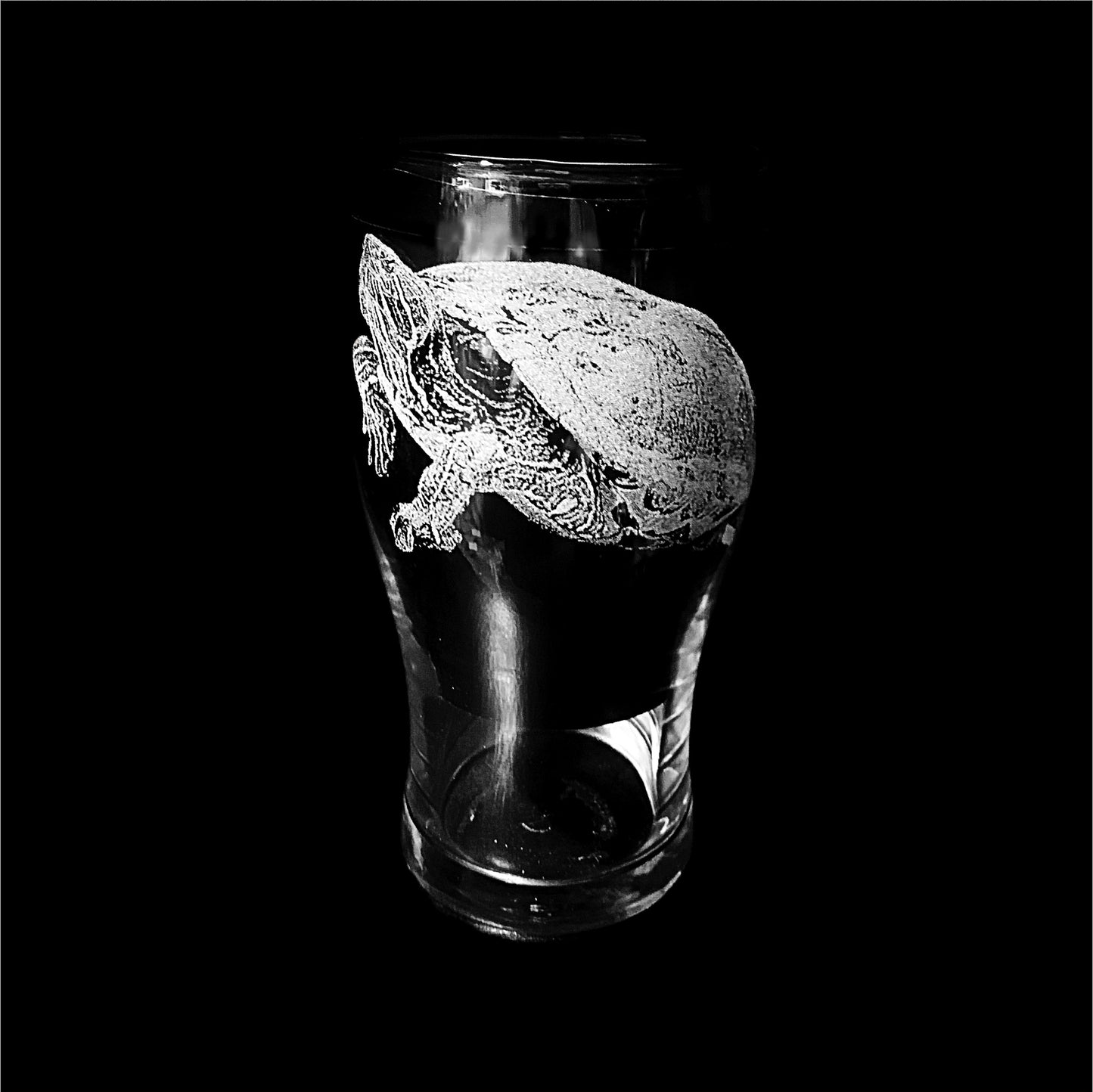 Red eared slider