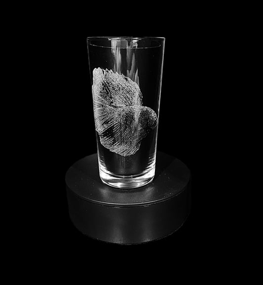Siamese fighting fish