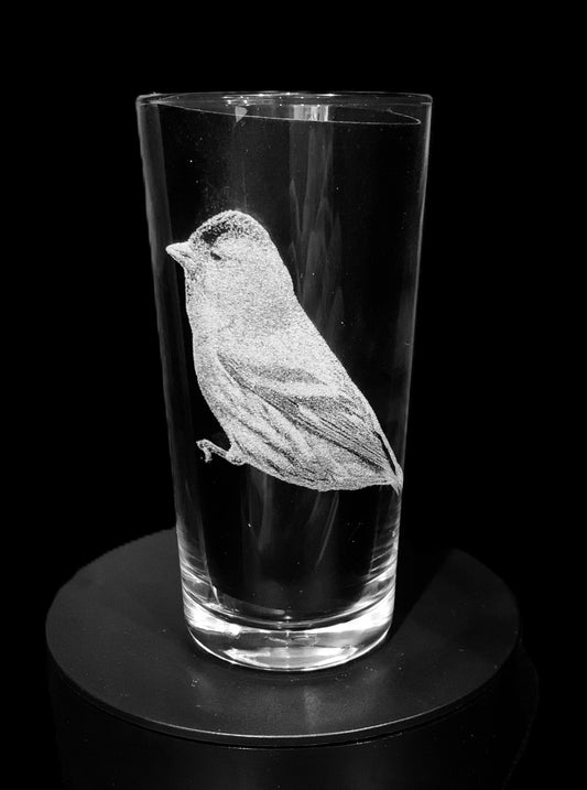 Siskin