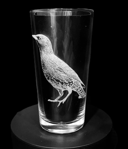Starling