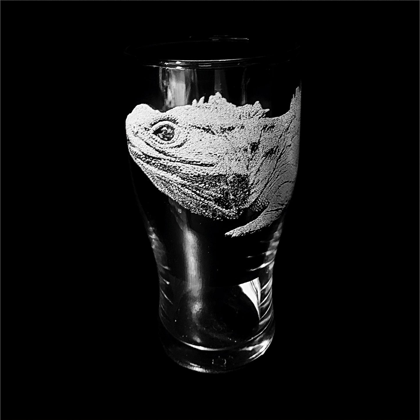Tuatara lizard