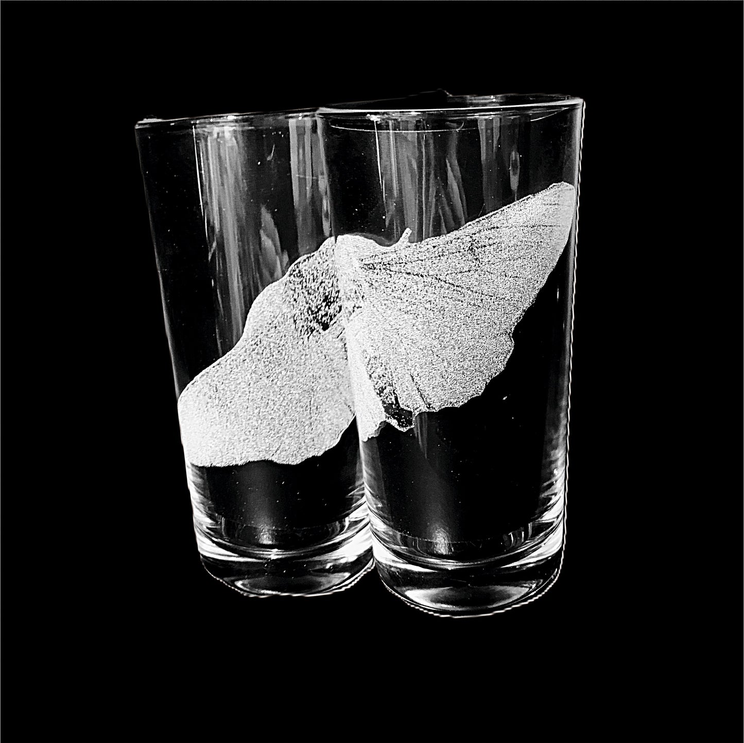Moth