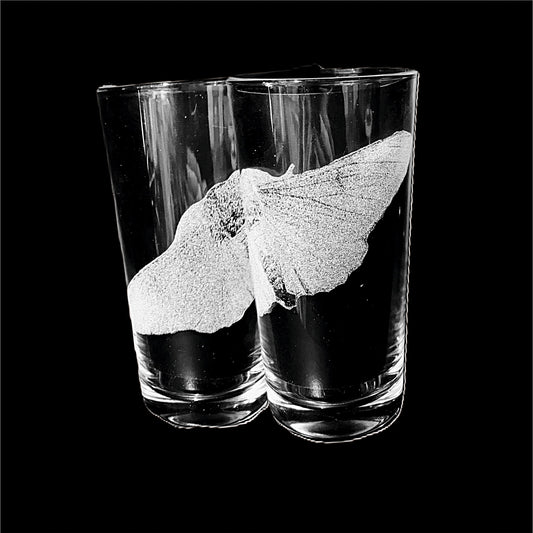 Moth